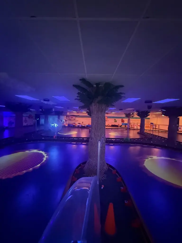 Wide view of the go-kart track around the central palm trees