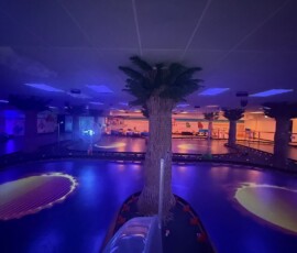 Loop around our signature palm-tree island in the middle of the track. Wide view of the go-kart track around the central palm trees